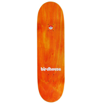 Birdhouse Shawn Hale Tillbrook Skateboard Complete - 9.00