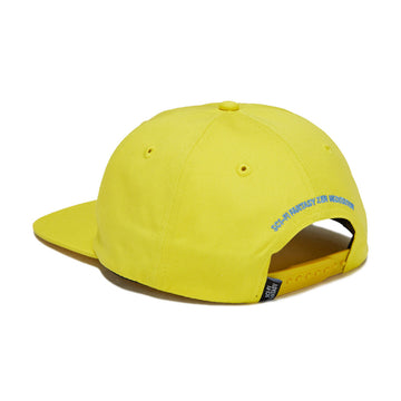 Sci-Fi Fantasy Pegasus Hat - Gold