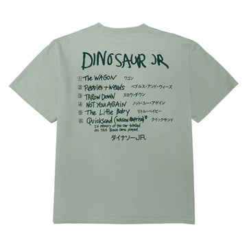 Color Bars x Dinosaur Jr Import T-Shirt - Sage