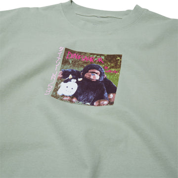 Color Bars x Dinosaur Jr Import T-Shirt - Sage