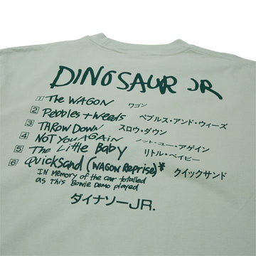 Color Bars x Dinosaur Jr Import T-Shirt - Sage