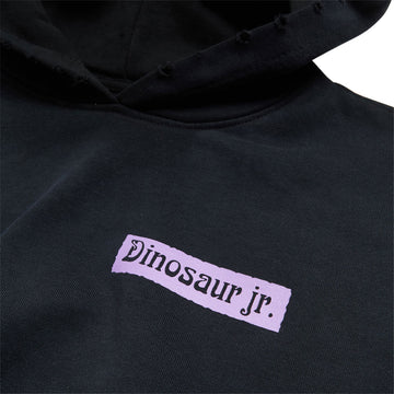 Color Bars x Dinosaur Jr Weirdness Hoodie - Potassium Black