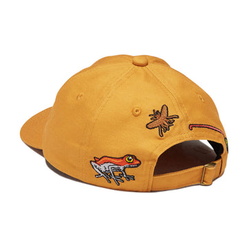 Snack Poisonous Darts Hat - Gold