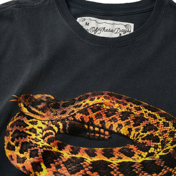 One Of These Days Rattler T-Shirt - Sun Faded Black