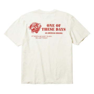 One Of These Days Up North T-Shirt - Bone