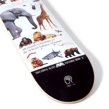 CCS Brain Food Animal Kingdom Mini Skateboard Complete - White