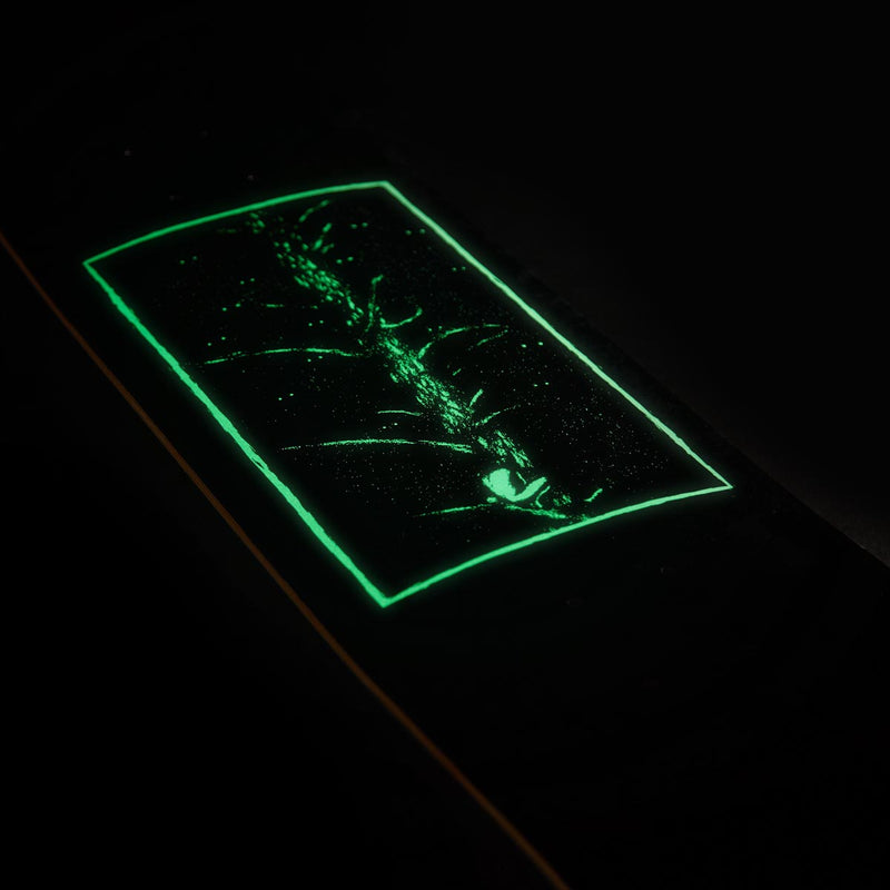 CCS Fear of the Dark Skateboard Deck - Glow