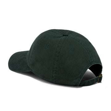 CCS Cheapskates Dad Hat - Green/White