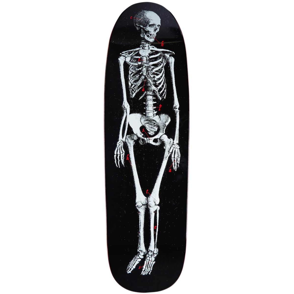 CCS Skeleton Shp1 Shaped Skateboard Deck - Black image 1