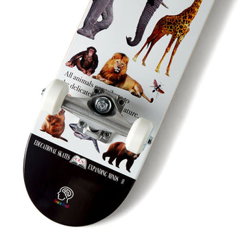 CCS Brain Food Animal Kingdom Mini Skateboard Complete - White