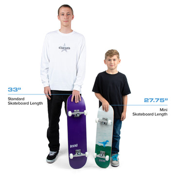 CCS Flames Mini Skateboard Complete - Black/Blue