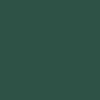 The Quiet Life Swanski Camera T-Shirt - Hunter Green – CCS