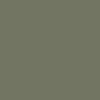GX1000 Bart T-Shirt - Military Green – CCS