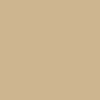 Stance Pounding Pavement T-Shirt - Khaki – CCS