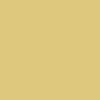 Nixon Time Teller Watch - All Gold/Gold – CCS